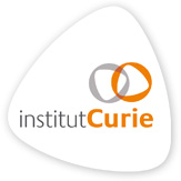 Logo Curie